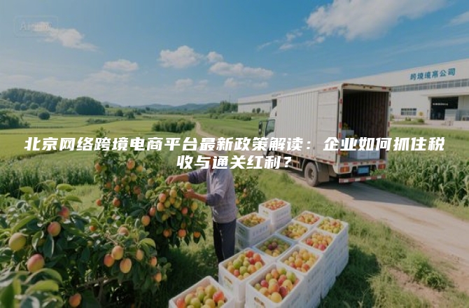 北京网络跨境电商平台最新政策解读：企业如何抓住税收与通关红利？