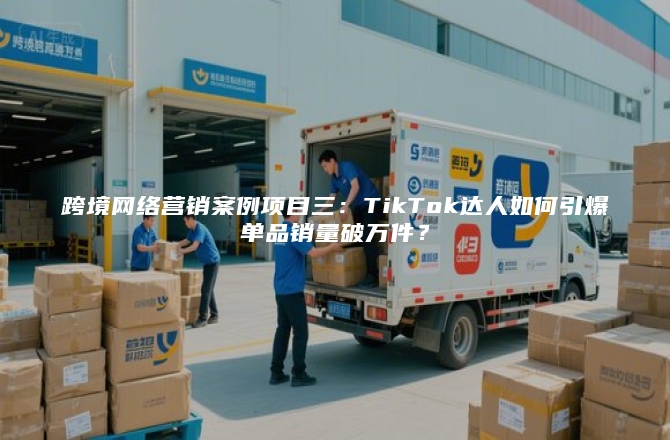 跨境网络营销案例项目三：TikTok达人如何引爆单品销量破万件？